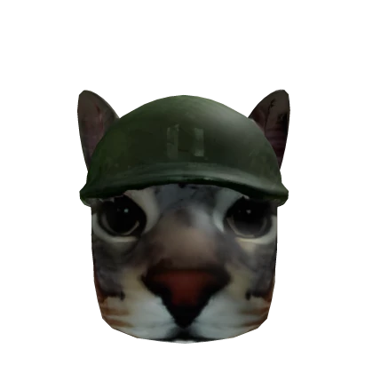 War Cat meme