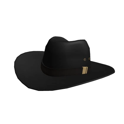 Black Cowboy Hat