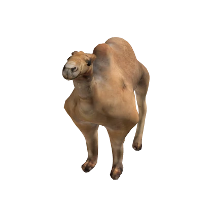 Camel Suit