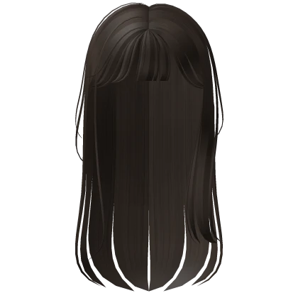 ♡ Graceful Straight Hair in Dark Brown