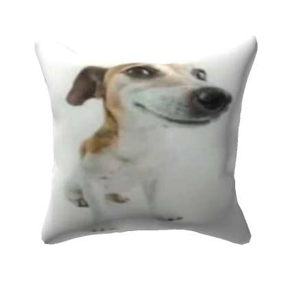 Crazy Dog Pillow