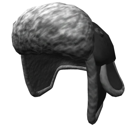 ushanka hat