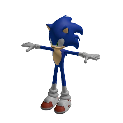 Sonic Costume