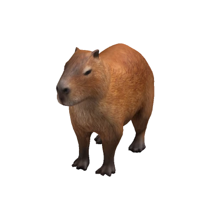 Realistic Capybara