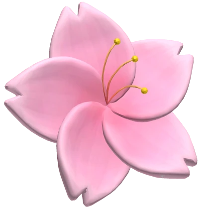 Pink Japanese Sakura Cherry Blossom Flower