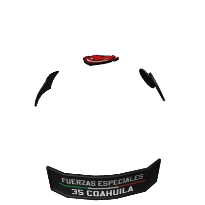 Parches Casco Noroeste Tazmanias