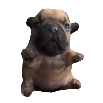 Chugus Shoulder Pet