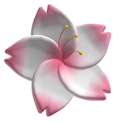 Pink + White Japanese Sakura Cherry Blossom Flower