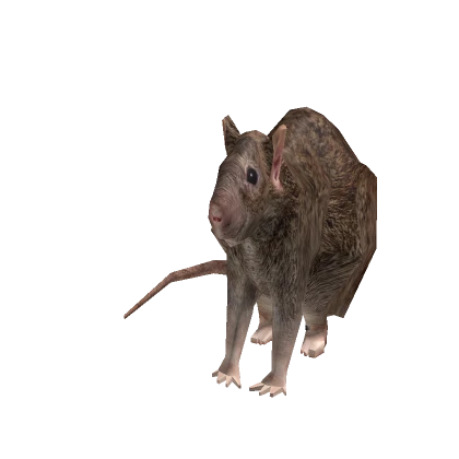 Rat Suit