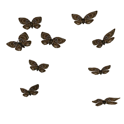 Brown Moth Vintage Cottagecore Fairycore Aura