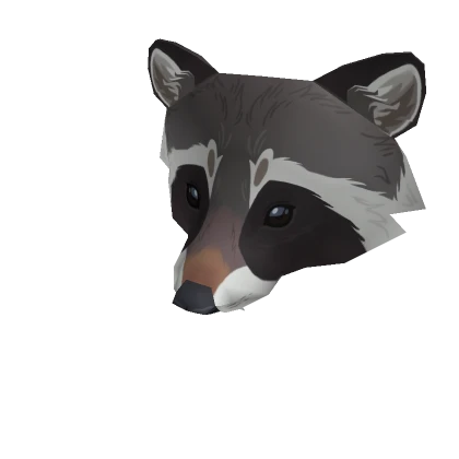 Raccoon Mask