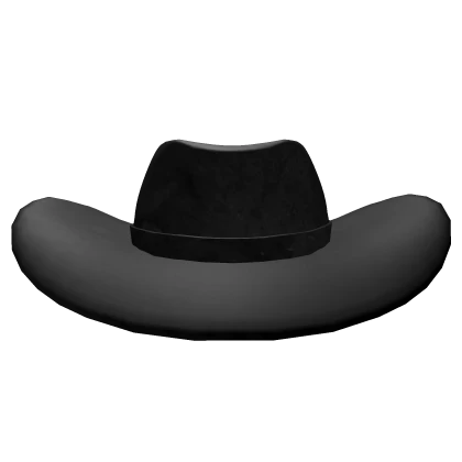 ✅ Cowboy Hat
