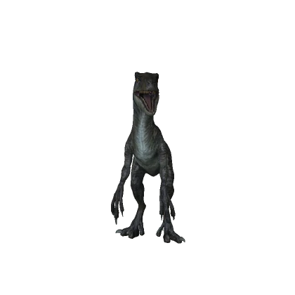 Velociraptor Dinosaur Bundle