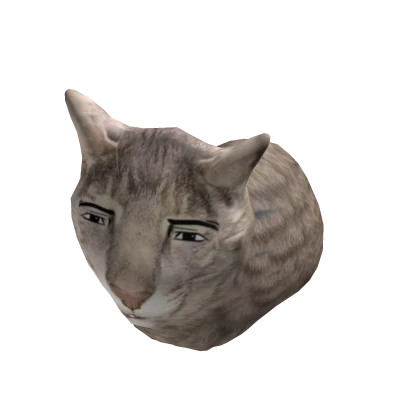 Man Face Cat Meme