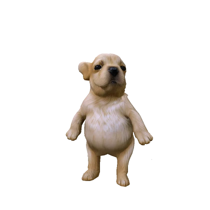 Mini Chubby Jotchua Dog