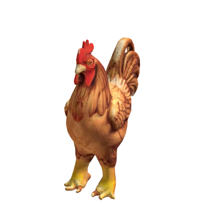 Realistic Chicken