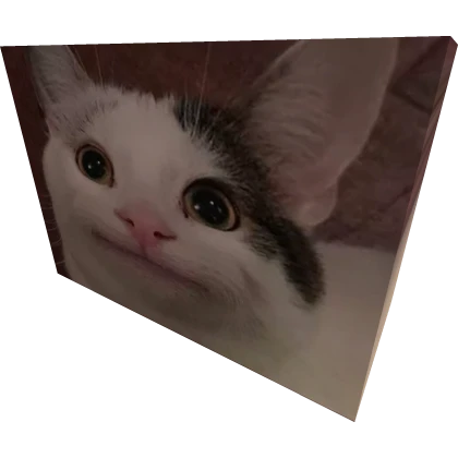 Worlds Biggest Cat Cube