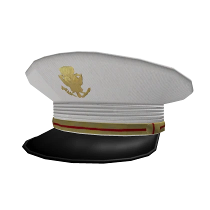 Marine Dress Blue Formal Cover [USMC]