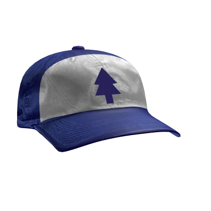 Dipper's Hat