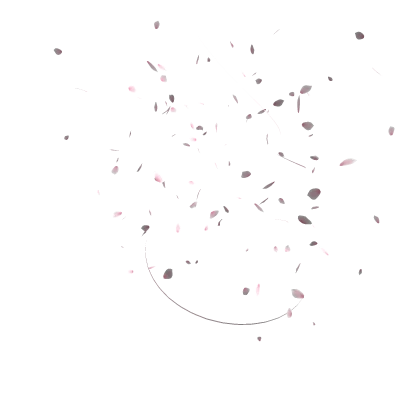 Sakura Blossom Effect
