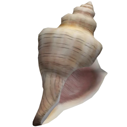 Sea Shell Telephone