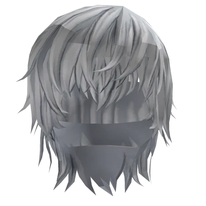 Accelerator