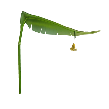Banana Leaf