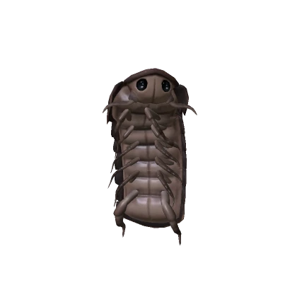 Roly Poly Bug