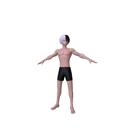 Todoroki ⭐Anime⭐