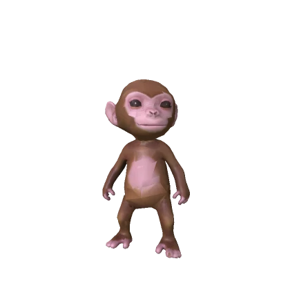 Baby Monkey