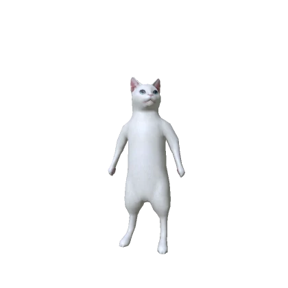 White Cat