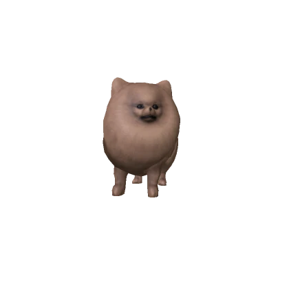 Pomeranian Dog (Brown)
