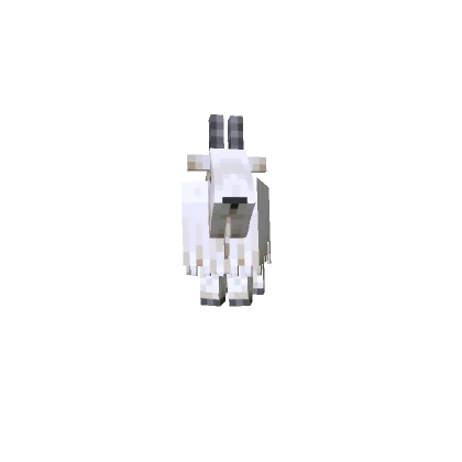 Mini Goat