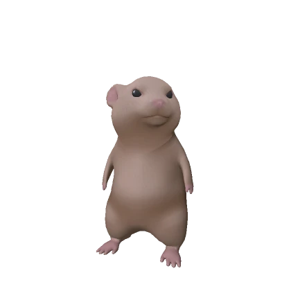 Hamster