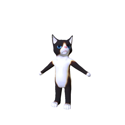 Grumpy Cat