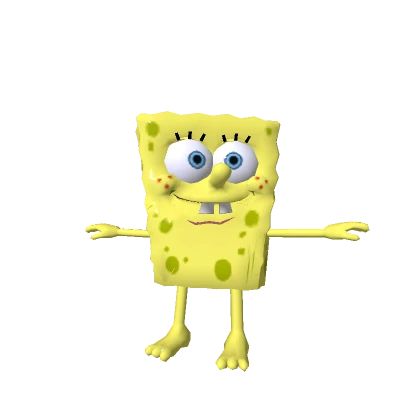 Metalic Sponge