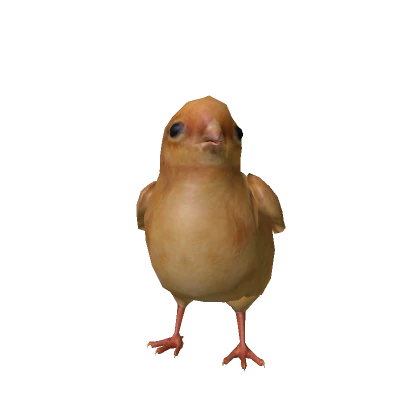 Realistic Baby Chicken