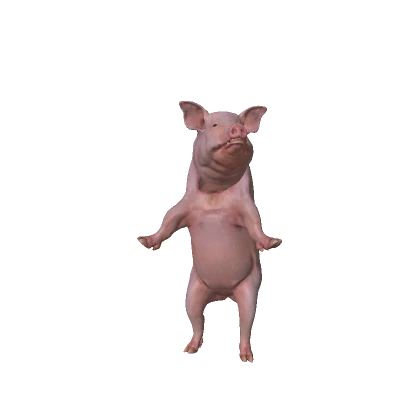 Realistic Pig