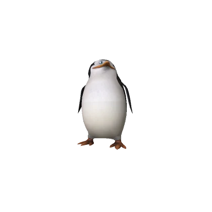 Mini Skipper