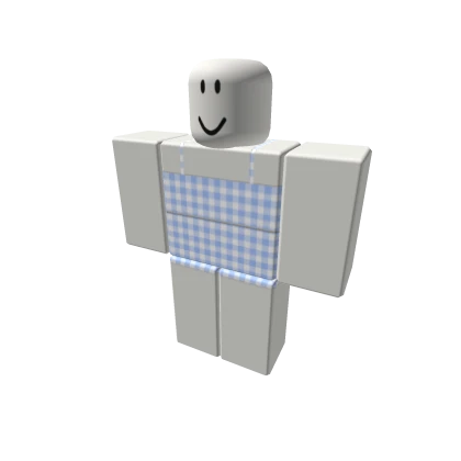 Blue Plaid Outfit