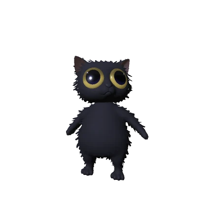 Fluffy Black Cat