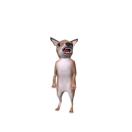 Mini Angry Chihuahua Dog
