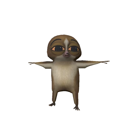 Mort Madagascar