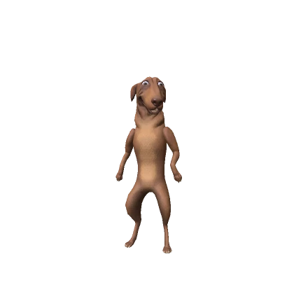 Shocked Dog