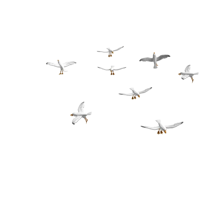 Flock of Attack Seagulls