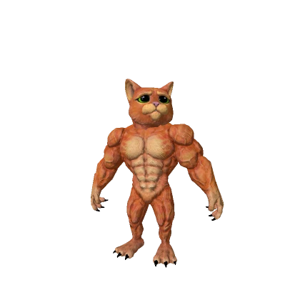 SWOLE Ginger Cat