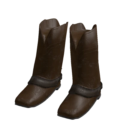 Cowboy Boots
