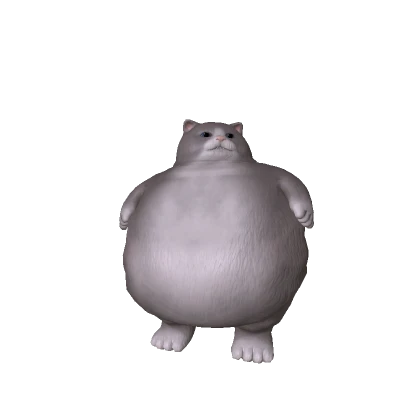 Big Cat