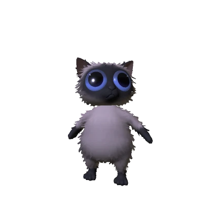 Fluffy Siamese Cat