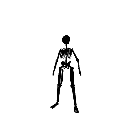 ✅Black skeleton✅